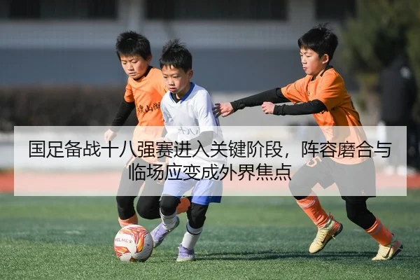 img_1781432728943_0_2_240.jpg